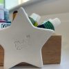 6 wells Star ceramic palette